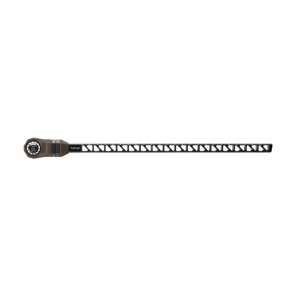 Mathews Bridge Lock Stabilizer