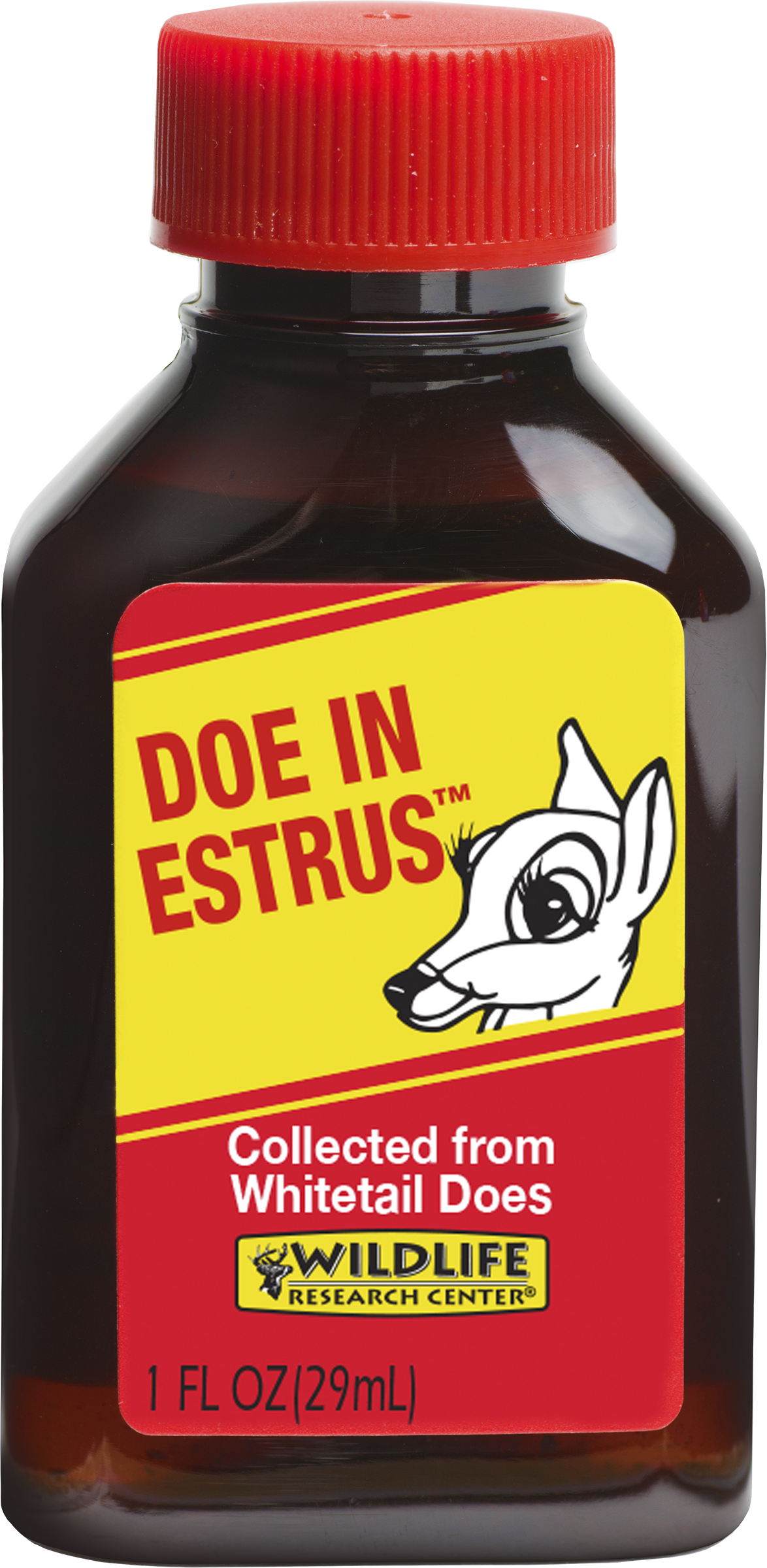 Wildlife Research Center Doe in Estrus