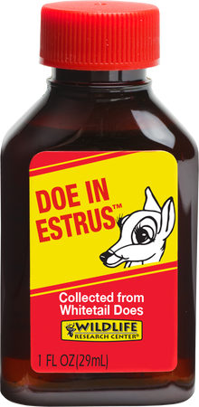 Wildlife Research Center Doe in Estrus