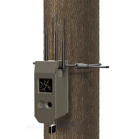 Cuddeback Safe Size G
