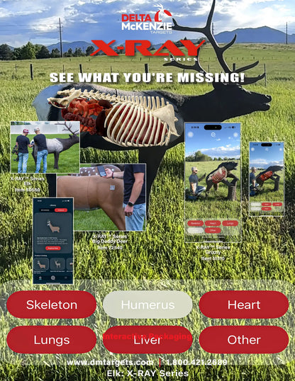 Delta McKenzie 3D Big Daddy Buck XRay Series