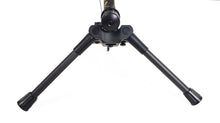 Darton Foldable  Bow Stand