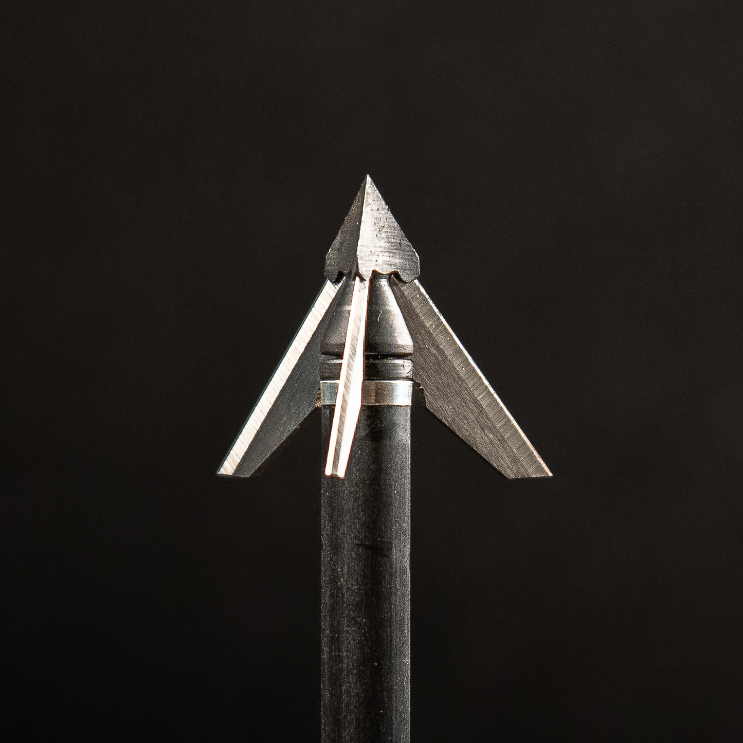 QAD  Exodus 100gr Swept Blade Broadhead