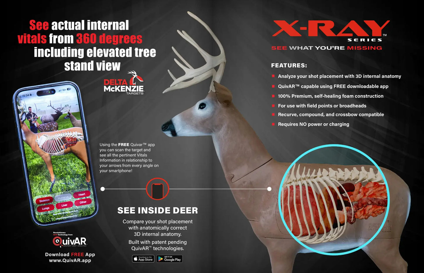 Delta McKenzie 3D Big Daddy Buck XRay Series