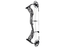 Bear Archery Whitetail Maxx 31"