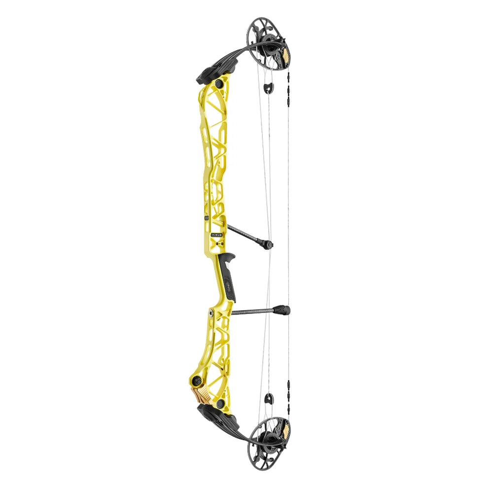 Mathews Title 38
