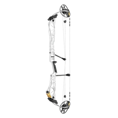 Mathews Title 38
