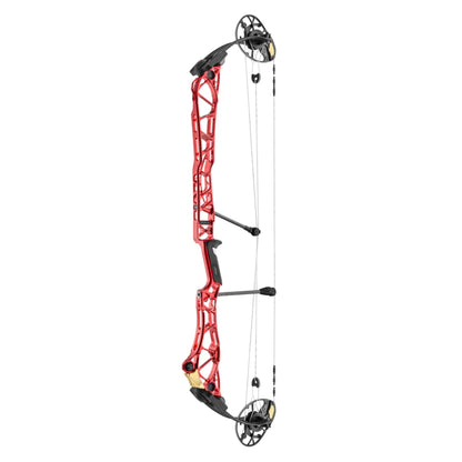 Mathews Title 40