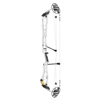 Mathews Title 40