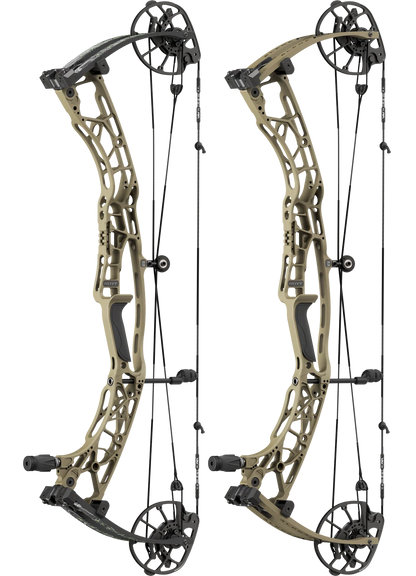 Hoyt Alpha AX3 33