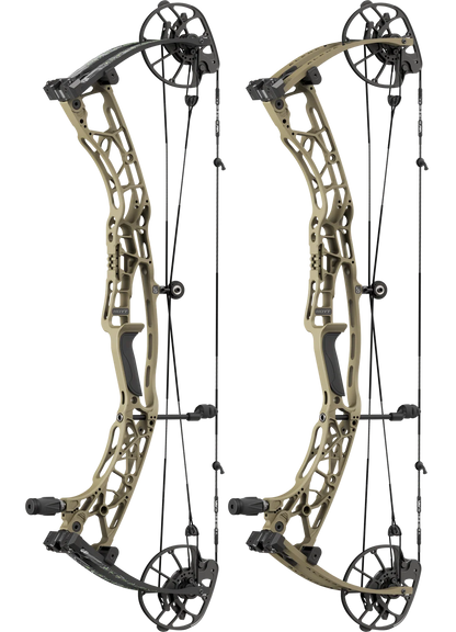 Hoyt Alpha AX3 LD