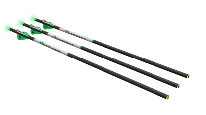 Centerpoint-400gr Lighted-arrow