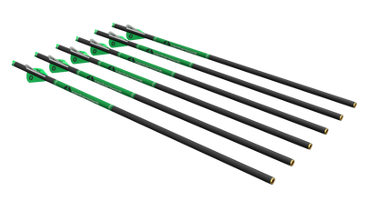 Centerpoint 400 gr 6pk arrow