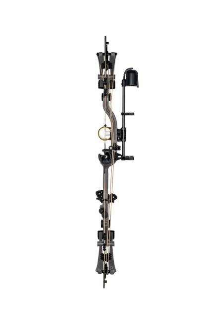 Bear Warrant RTH