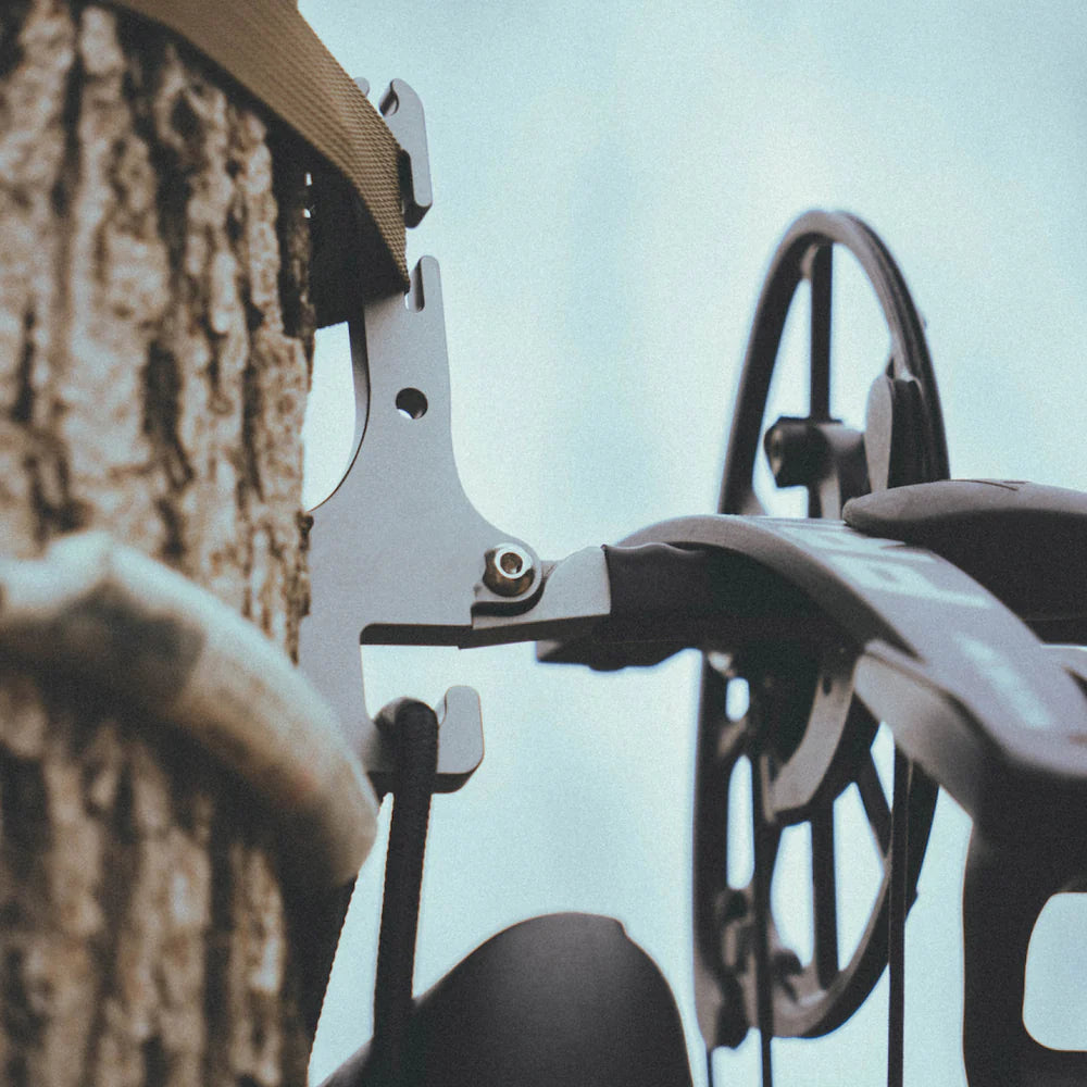 Latitude Bite Bow Hanger