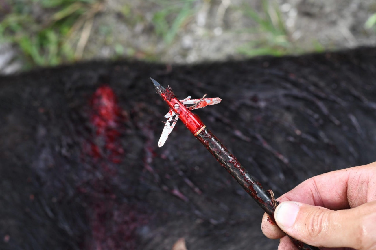 TenPoint EvoX Center Punch Broadheads