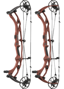 Hoyt RX10 LD