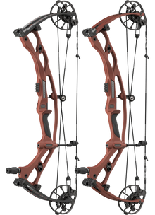 Hoyt RX10