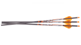 Ravin 400 Grain Arrows