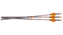 Ravin 400 Grain Arrows