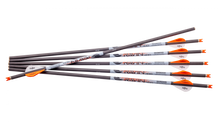 Ravin 400 Grain Arrows