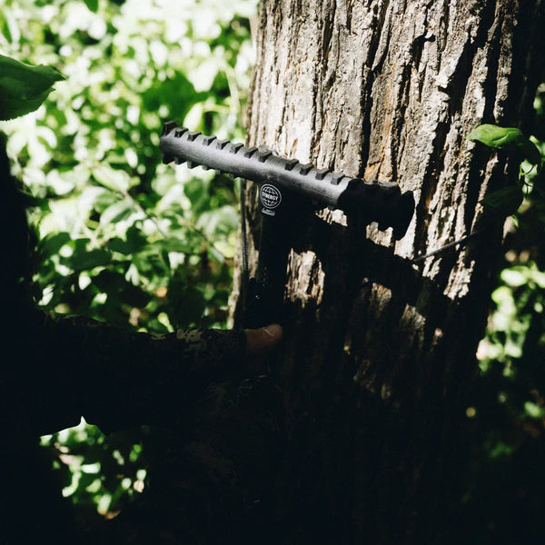Latitude Carbon Synergy Climbing Sticks