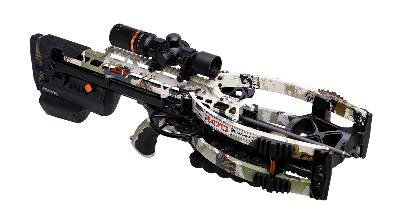 【warabenben】 Bensen Eyeglasses in Rosemary Crystal